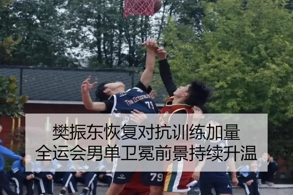 樊振东恢复对抗训练加量 全运会男单卫冕前景持续升温